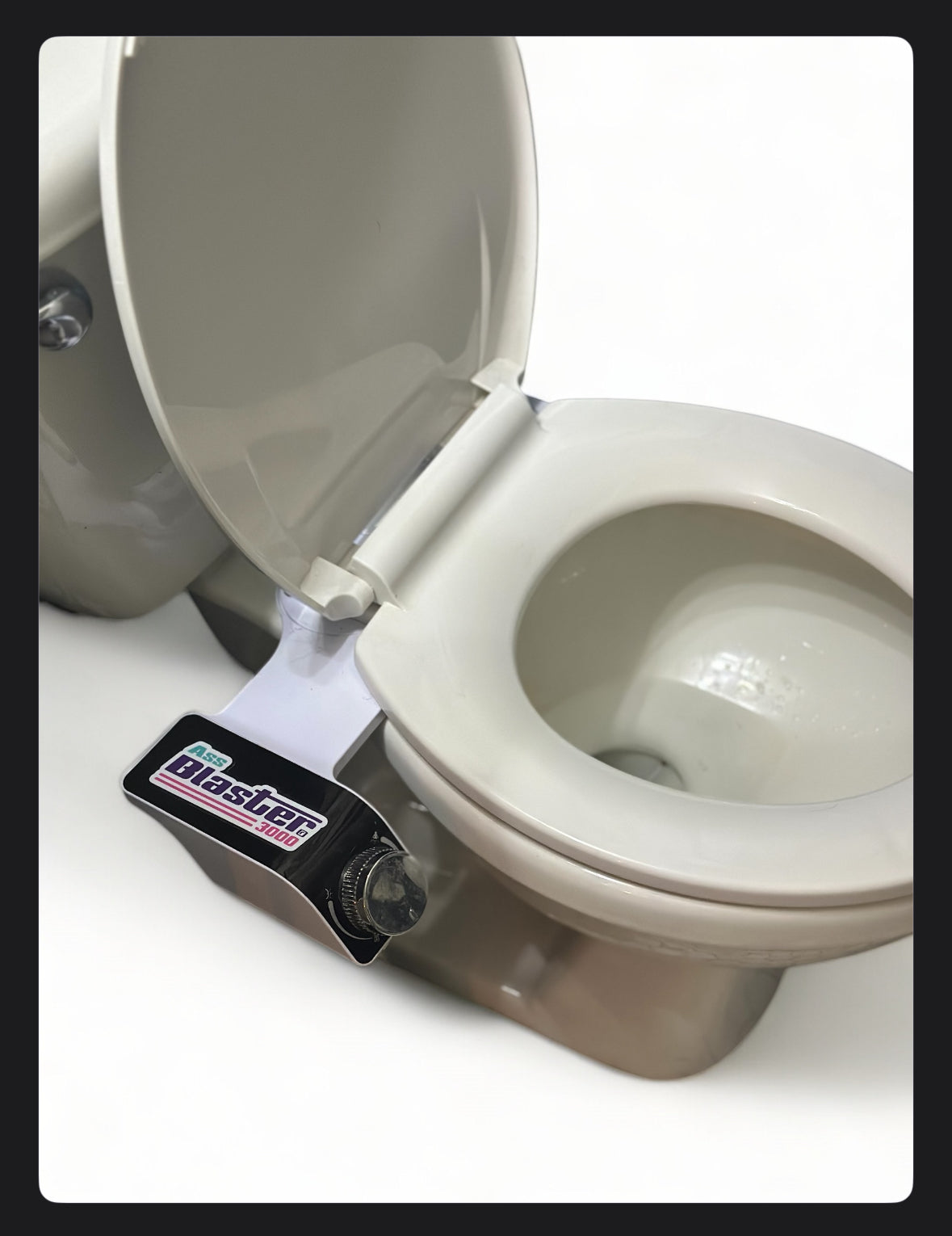 The Ass Blaster 3000 Bidet!